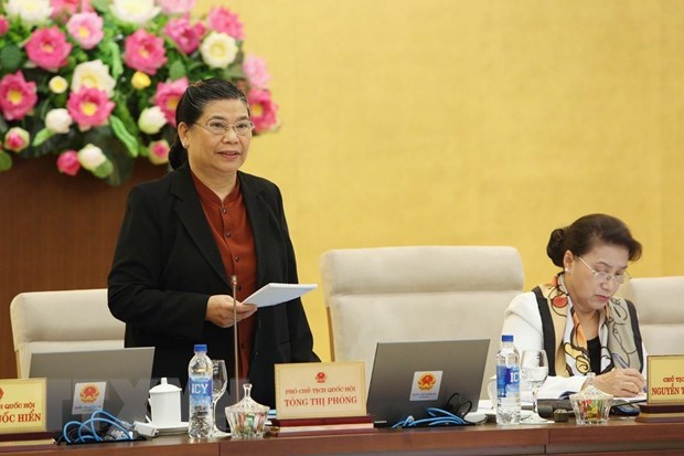 Ban khoan ve tinh kha thi cua quy dinh ho chieu co gan chip dien tu hinh anh 2Phó Chủ tịch Thường trực Quốc hội Tòng Thị Phóng phát biểu ý kiến thảo luận. (Ảnh: Dương Giang/TTXVN)