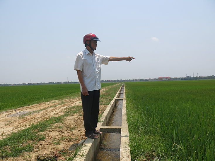 Cựu chiến binh Võ Văn Khinh, từng tham gia chiến dịch Hồ Chí Minh, nay ông đang làm Chủ tịch Hội đồng quản trị HTX sản xuất-kinh doanh-dịch vụ nông nghiệp Thượng Phong, xã Phong Thủy, huyện Lệ Thủy