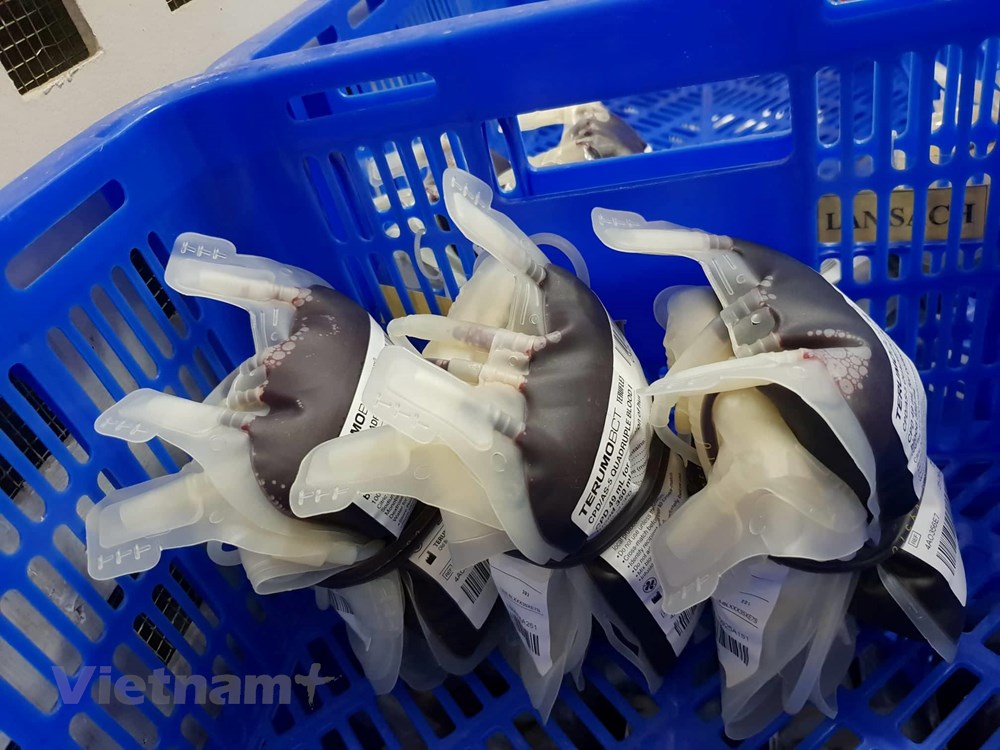 Những đơn vị máu được lấy từ người hiến máu tình nguyện. (Ảnh: PV/Vietnam+)