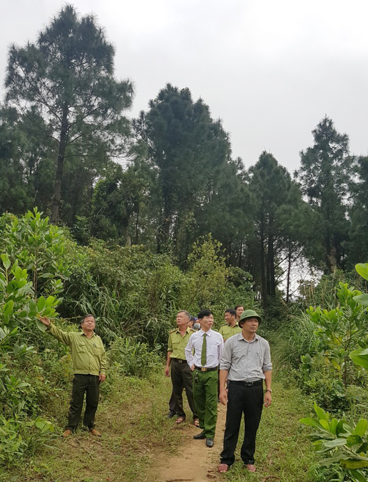 Kiểm lâm Bố Trạch phối hợp với các lực lượng kiểm tra tổng thể, chấn chỉnh kịp thời công tác PCCCR trước mùa khô.