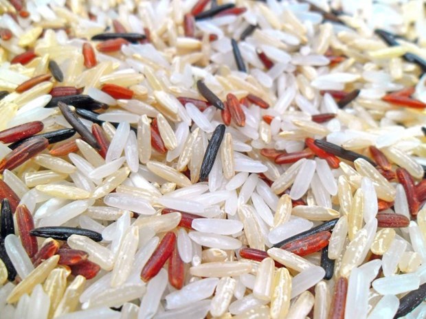 Phat hien moi: An nhieu com gao hon co the giup chong beo phi hinh anh 1Các quốc gia ăn cơm như một loại lương thực chính có tỷ lệ béo phì thấp. (Nguồn: medicalxpress)