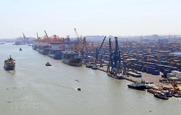 Viet Nam hoi nhap va du suc canh tranh trong hoat dong cang bien hinh anh 2Hệ thống cảng tại khu vực Đình Vũ, Hải Phòng. (Ảnh: Huy Hùng/TTXVN)