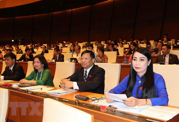 Tao su thong nhat cao de Quoc hoi co quyet sach dung dan, hop long dan hinh anh 2 Đoàn Đại biểu Quốc hội tỉnh Vĩnh Phúc tại phiên khai mạc. (Ảnh: Trọng Đức/TTXVN)