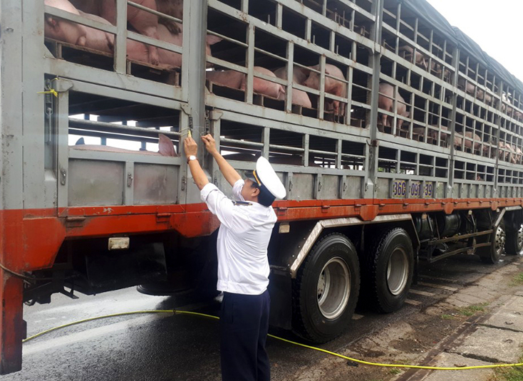 Công tác kiểm tra, kiểm soát được lực lượng chức năng thực hiện nghiêm túc tại các chốt kiểm dịch động vật tạm thời.