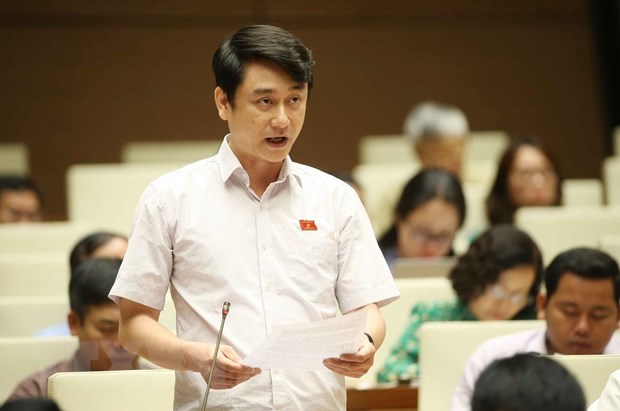 Can quan ly chat luong dau ra voi ruou thu cong truyen thong hinh anh 1Đại biểu quốc hội tỉnh Hà Tĩnh, Lê Anh Tuấn phát biểu ý kiến. (Ảnh: Doãn Tấn/TTXVN)