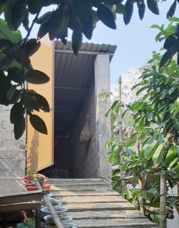 Hệ thống chuồng tránh lũ thiết kế vững chắc, hợp vệ sinh và có lối đi thuận tiện.