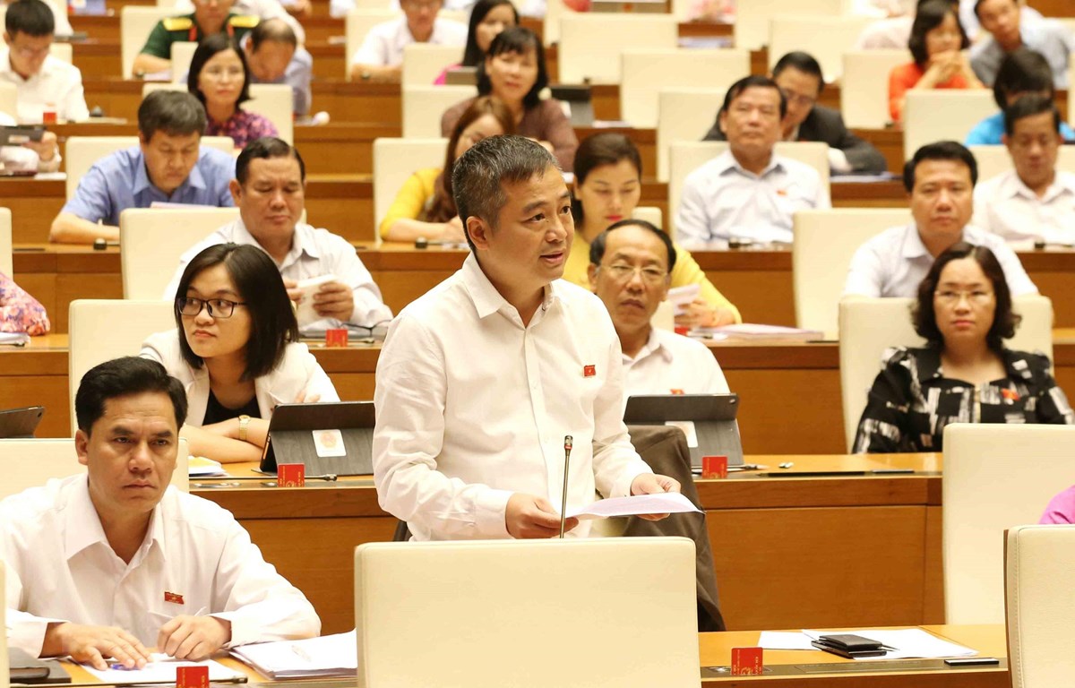 Đại biểu Quốc hội tỉnh An Giang Nguyễn Lân Hiếu phát biểu. (Ảnh: Phương Hoa/TTXVN)