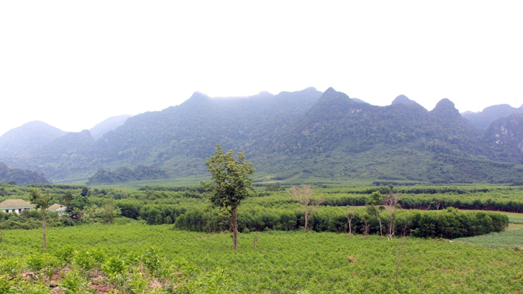 Toàn cảnh thung lũng Chà Nòi.
