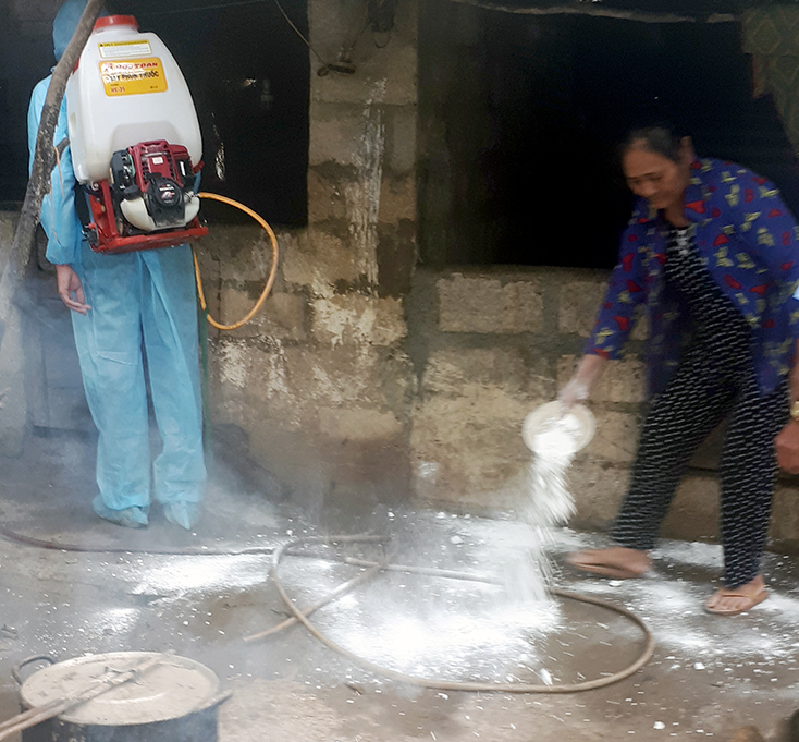 Các hộ chăn nuôi tiến hành vệ sinh, tiêu độc khử trùng tại khu vực chuồng trại của gia đình.