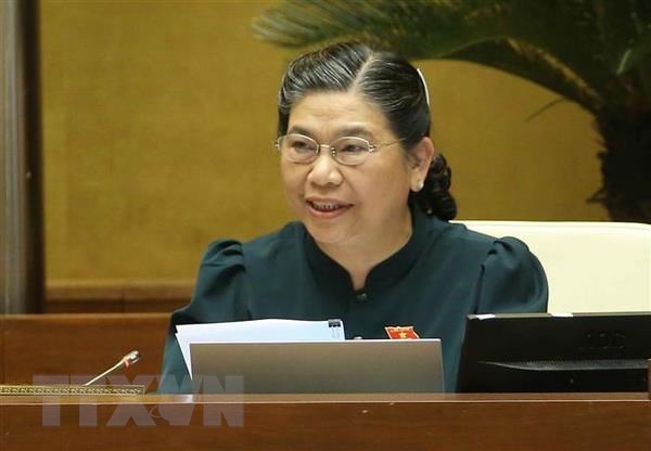 Xin y kien 3 noi dung trong du thao Luat Phong, chong tac hai ruou bia hinh anh 1Phó Chủ tịch Thường trực Quốc hội Tòng Thị Phóng điều hành phiên họp. (Ảnh: Doãn Tấn/TTXVN)