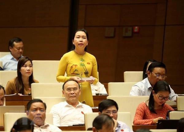 Dai bieu chat van ve chi phi boi tron trong nghiem thu cong trinh hinh anh 1Đại biểu Quốc hội tỉnh Bình Định Lý Tiết Hạnh đặt câu hỏi chất vấn. (Ảnh: Phương Hoa/TTXVN)