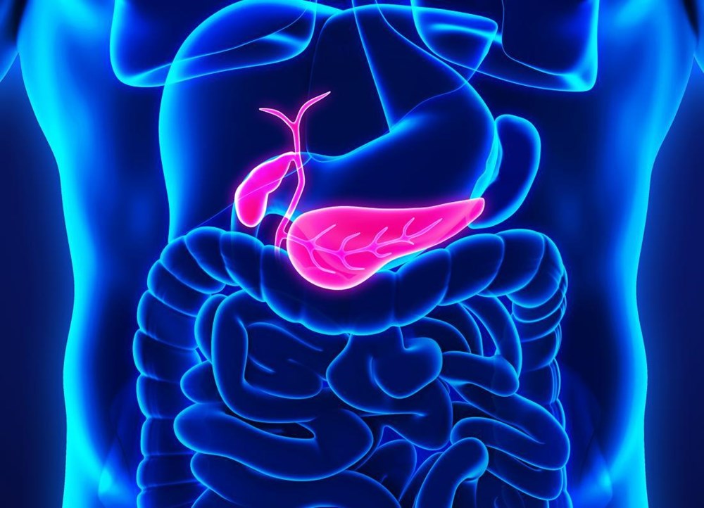  (Nguồn: Medical News Today)