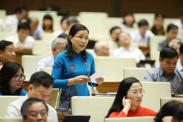 Đại biểu Quốc hội tỉnh Quảng Ninh Đỗ Thị Lan chất vấn Phó Thủ tướng Chính phủ, Bộ trưởng Bộ Ngoại giao Phạm Bình Minh. (Ảnh: Dương Giang/TTXVN)