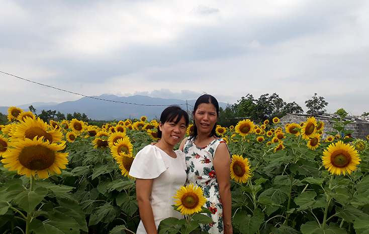 Nhìn chung, các tour du lịch nông nghiệp ở Quảng Bình cũng chỉ mới dừng lại ở mức mua vé tham quan, chụp hình… 