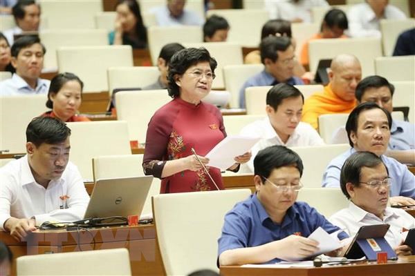 Hop Quoc hoi: Phat trien thu vien gan voi phat trien van hoa doc hinh anh 2Đại biểu Quốc hội tỉnh Bắc Giang Hoàng Thị Hoa phát biểu ý kiến. (Ảnh: Doãn Tấn/TTXVN)