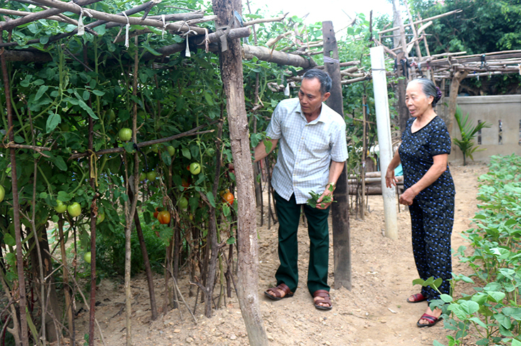 Học và làm theo gương Bác, nhiều cán bộ, đảng viên tích cực tham gia phát triển kinh tế. 