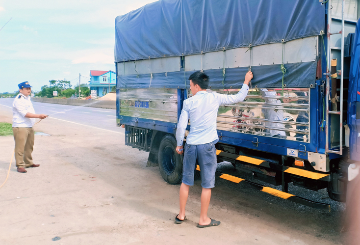 Các chốt kiểm dịch động vật tạm thời phát huy tốt nhiệm vụ được giao.