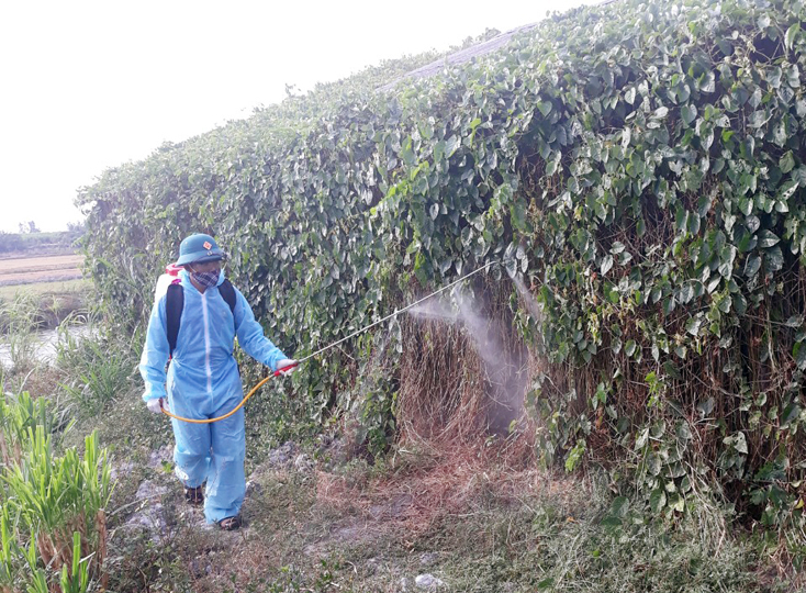 Các địa phương trên địa bàn huyện Bố Trạch tiếp tục tăng cường triển khai tiêu độc khử trùng trên diện rộng