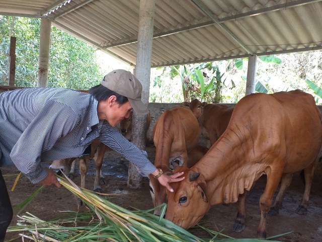 Tạo điều kiện cho đoàn viên thanh niên vay vốn ưu đãi góp phần đẩy lùi  thực trạng tín dụng đen