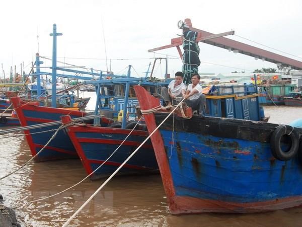 Ngư dân neo đậu tàu, thuyền để tránh bão. (Ảnh: Lâm Khánh/TTXVN)