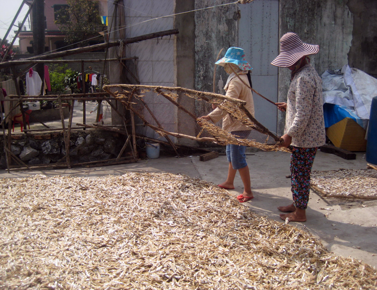 Một số sản phẩm hải sản chế biến khô được xã Bảo Ninh đăng ký
