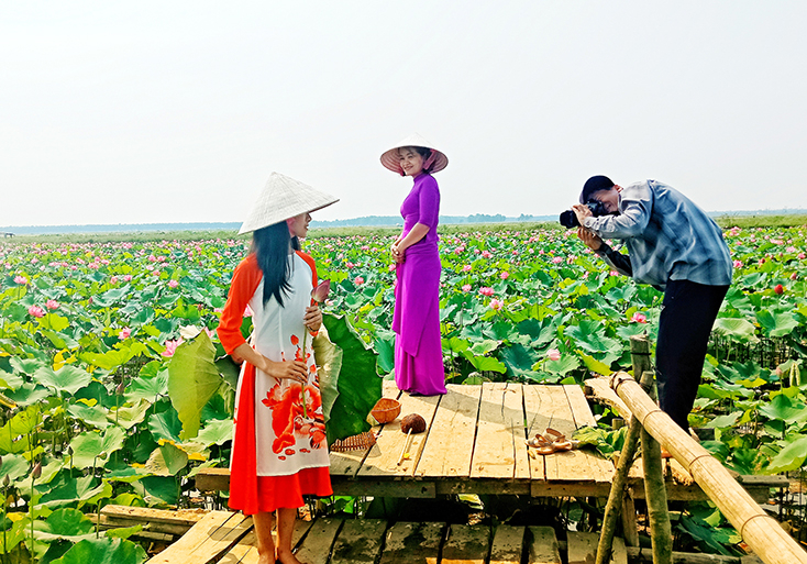 Vườn sen của anh Đỗ Quang Bổng được nhiều người ghé đến chụp ảnh.