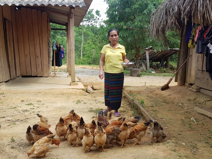 Người Mã Liềng đã biết chăn nuôi gia súc, gia cầm để tăng thu nhập.