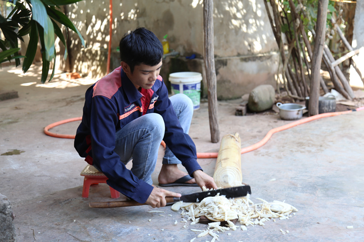  Tạ Quang Thanh cắt chuối cho bò ăn.