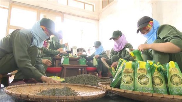 Nguoi Viet uu tien dung hang Viet: Xoa diem trang hang Viet hinh anh 2Đóng gói sản phẩm chè xanh Mộc Châu. (Ảnh: Nguyễn Cường/TTXVN)