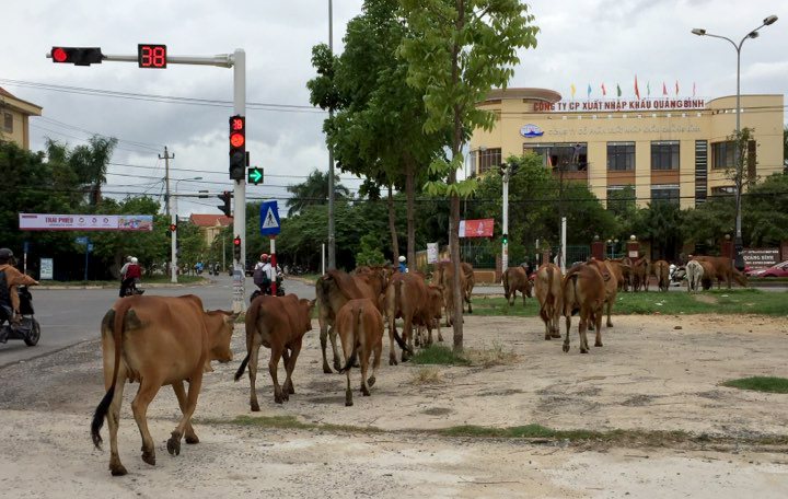 ... Rồi băng qua vỉa hè góc cua từ đường Trần Quang Khải để ra phía đường Hữu Nghị.