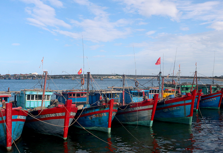 Những tàu giã cào của ngư dân xã Quang Phú, thành phố Đồng Hới. 