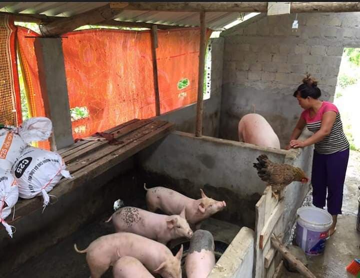 Tổng vốn cho vay ủy thác tăng 172 triệu so với đầu năm 2019