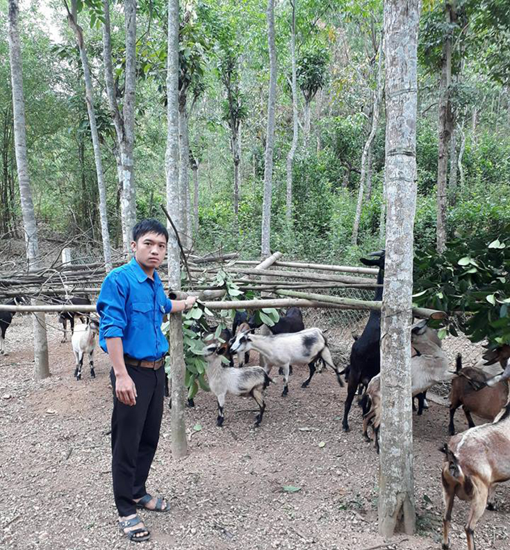 Người dân Cảnh Hóa phát triển các mô hình kinh tế gia trại mang lại hiệu quả kinh tế cao. 