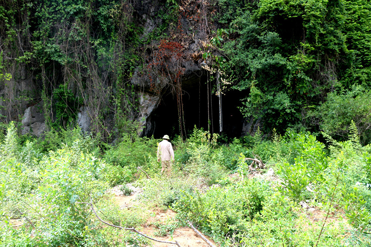 Hang Giao thông nơi chiến khu Rào Trù.