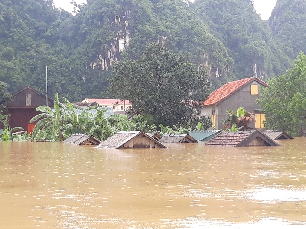 Khu chăn nuôi trâu bò tập trung của xã Tân Hóa đã ngập sâu trong lũ.