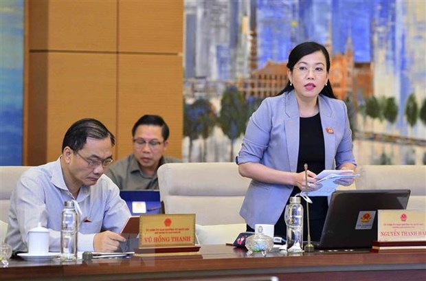 Hop Uy ban Thuong vu Quoc hoi: Kho tang dai bieu Quoc hoi chuyen trach hinh anh 3Trưởng Ban Dân nguyện của Ủy ban Thường vụ Quốc hội Nguyễn Thanh Hải phát biểu. (Ảnh: Văn Điệp/TTXVN)