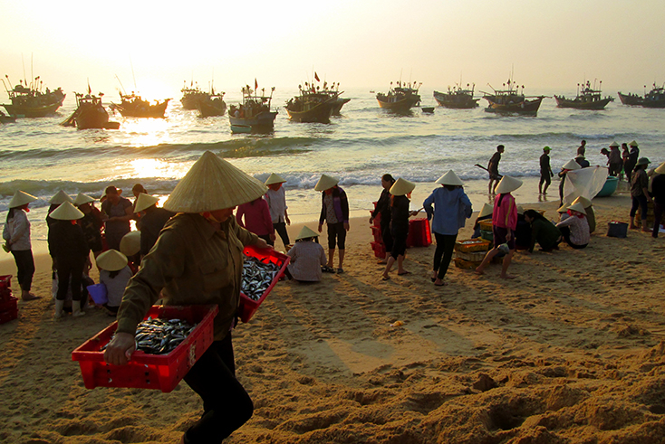 Cá về bến Nhân Trạch.