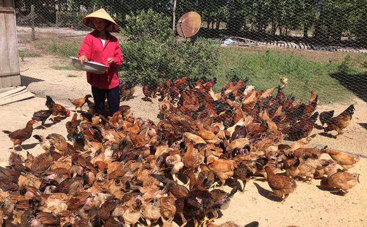 Nhờ nguồn vốn tín dụng chính sách, người dân xã Hóa Tiến tích cực đầu tư mở rộng sản xuất, kinh doanh.