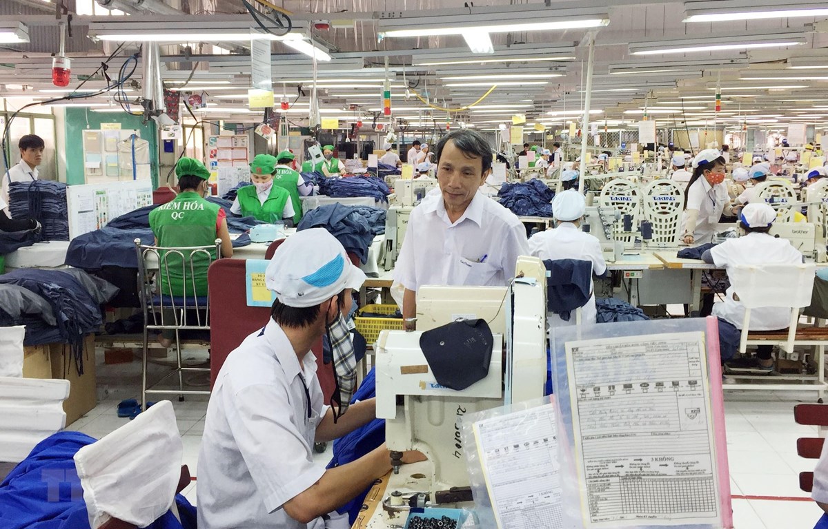 Nhiều lao động sau khi đào tạo đã được doanh nghiệp may Tiến Thuận Ninh Thuận bố trí việc làm ổn định. (Ảnh: Công Thử/TTXVN)