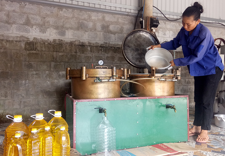 Các cơ sở chế biến tinh dầu lạc góp phần nâng cao giá trị cây lạc và tăng thu nhập cho người nông dân.