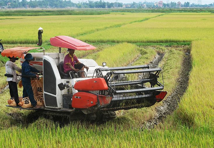Cơ giới hóa sản xuất nông nghiệp góp phần nâng cao năng suất, sản lượng.