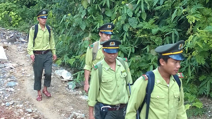  Kiểm lâm viên trên đường kiểm tra rừng. 