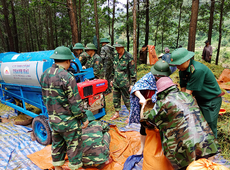 Cây lúa nước thêm thắt chặt tình cảm đồng bào chiến sỹ nơi biên cương.  