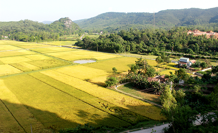 Ảnh: Tiến Hành