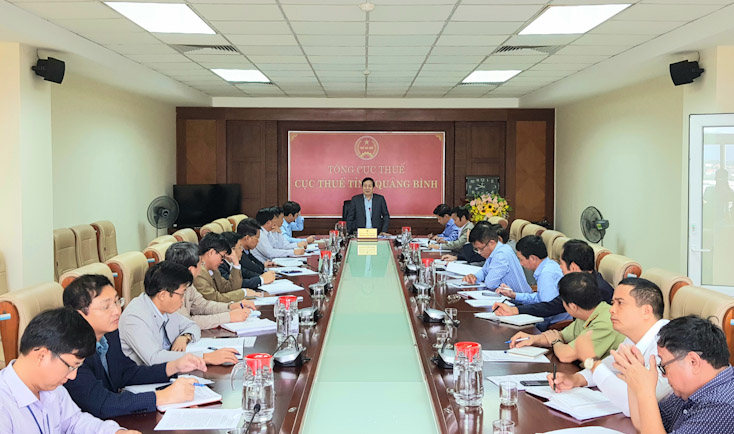 Đồng chí Nguyễn Xuân Quang, Phó Chủ tịch Thường trực UBND tỉnh phát biểu kết luận buổi làm việc. 
