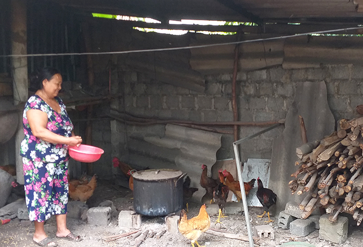 Có nguồn vốn vay của QTDND Bắc Lý, nhiều hộ gia đình đầu tư vào các mô hình chăn nuôi.  