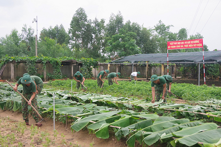 Mô hình tăng gia sản xuất của Tiểu đoàn Bộ binh 42, Trung đoàn Bộ binh 996. 