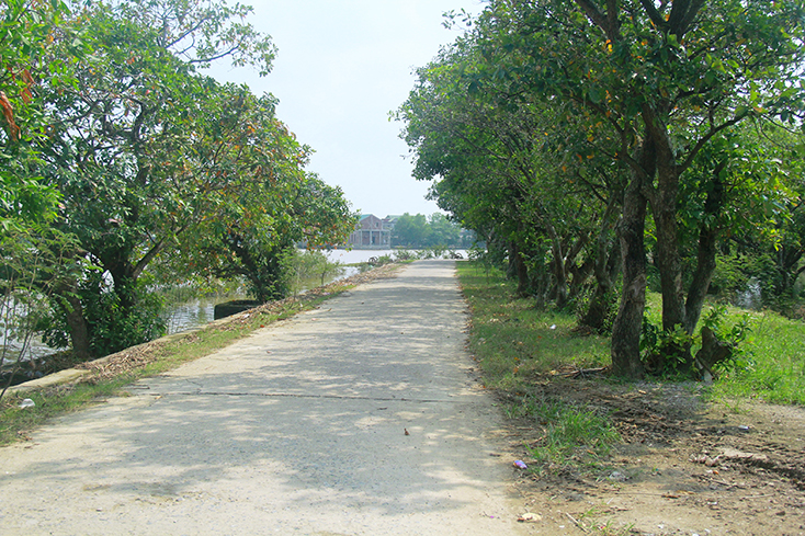  Đường về bàu mưng Phú Thọ. 
