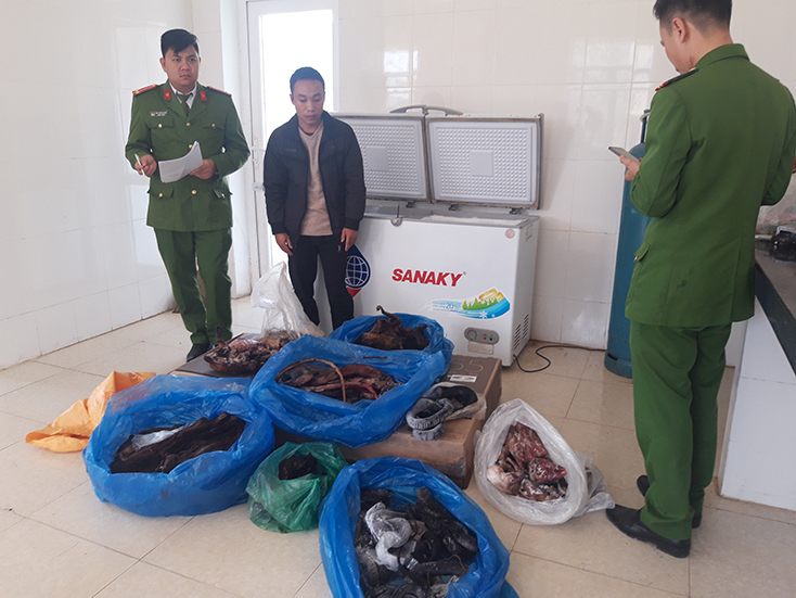 Đối tượng và tang vật tại cơ quan điều tra