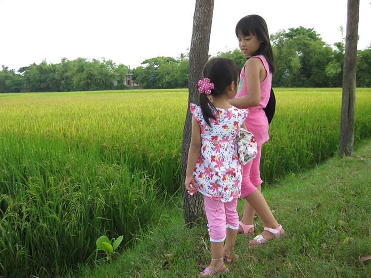 Đồng quê. 
